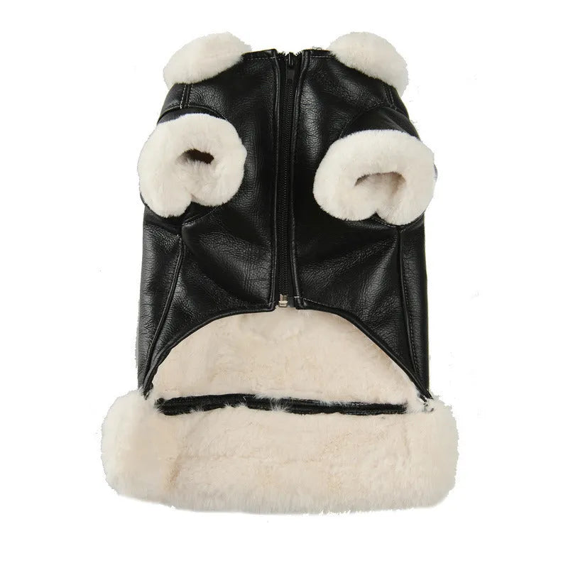 Black leather dog jacket shown on a medium-sized dog for autumn and winter wear.