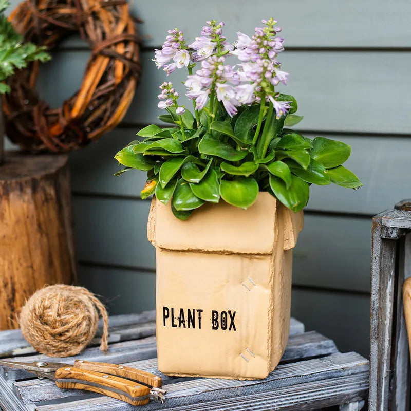 Cement flowerpot with perforated base and Nordic brown paper box design