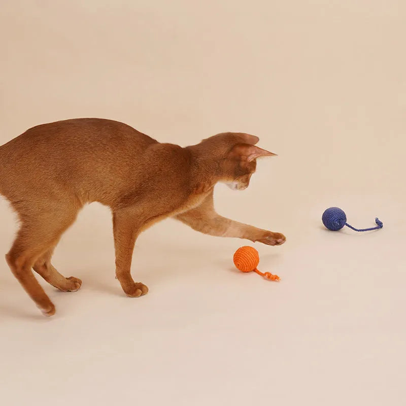 Cat toy set with teaser stick and bite-resistant catnip ball in blue colour, 255x105mm