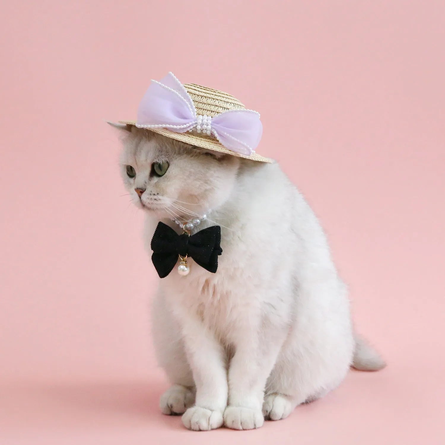 Woven straw cat hat with a pearl bow, shown in blue, pink, purple, and white colour options