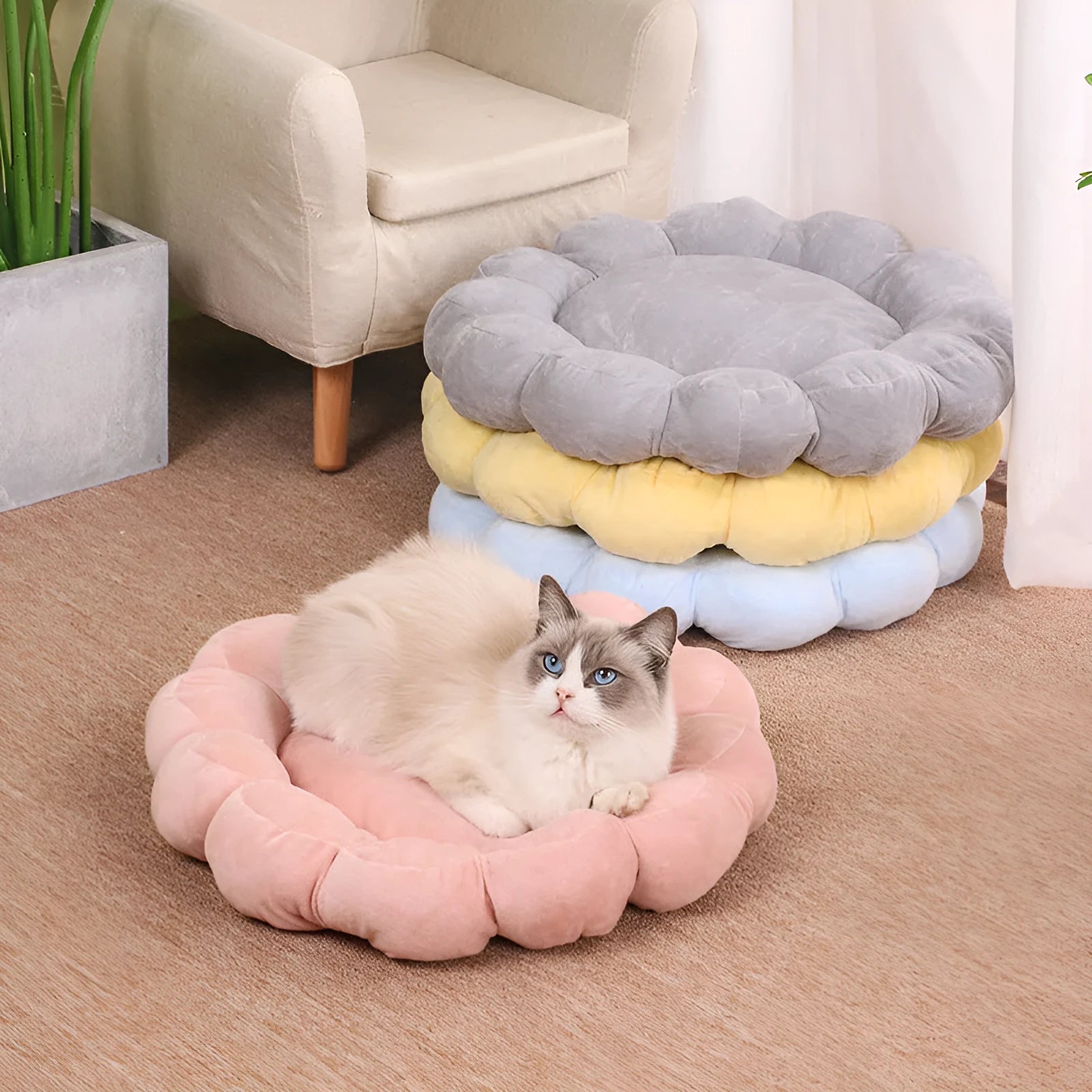 Square blue half-surrounded plush pet bed for small dogs and cats on a wooden floor.