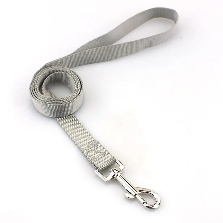 Solid colour polyester dog lead showing loop handle and single rope in one of twelve available colours.