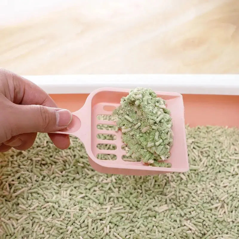 Plastic cat litter scoop in blue, green, or pink colours showing 20cm length