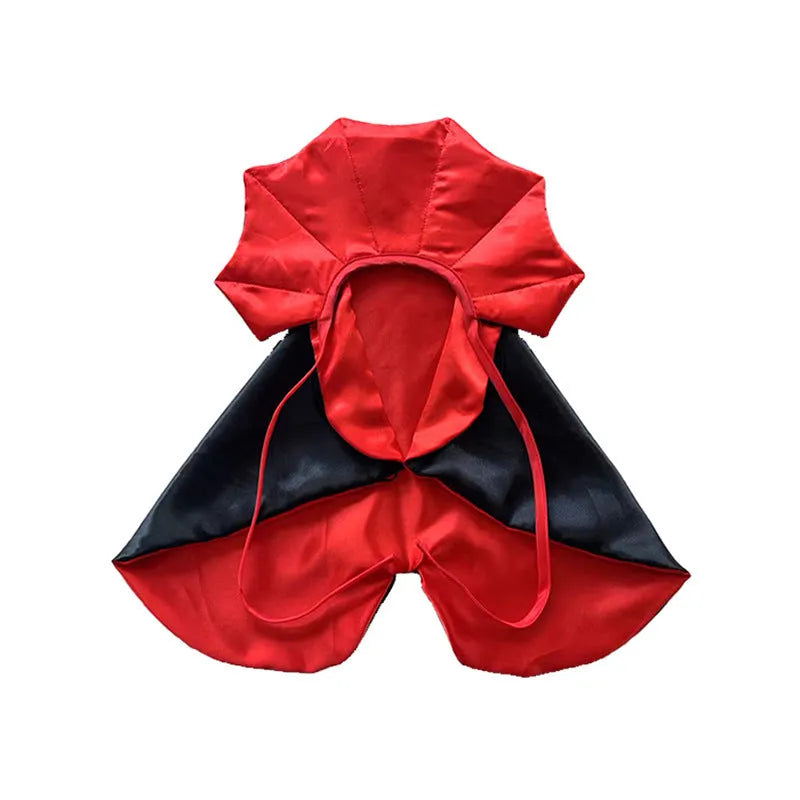 Halloween costume on a pet showing a red bat cloak and pointed devil hat.