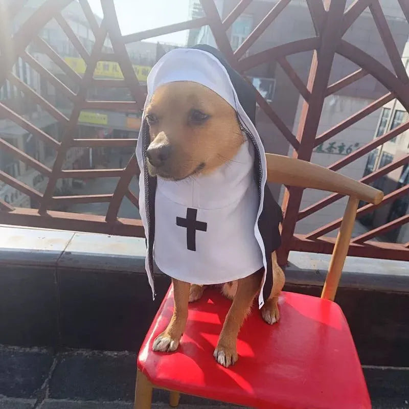 Black and white nun costume for small to medium dogs and cats with pullover design