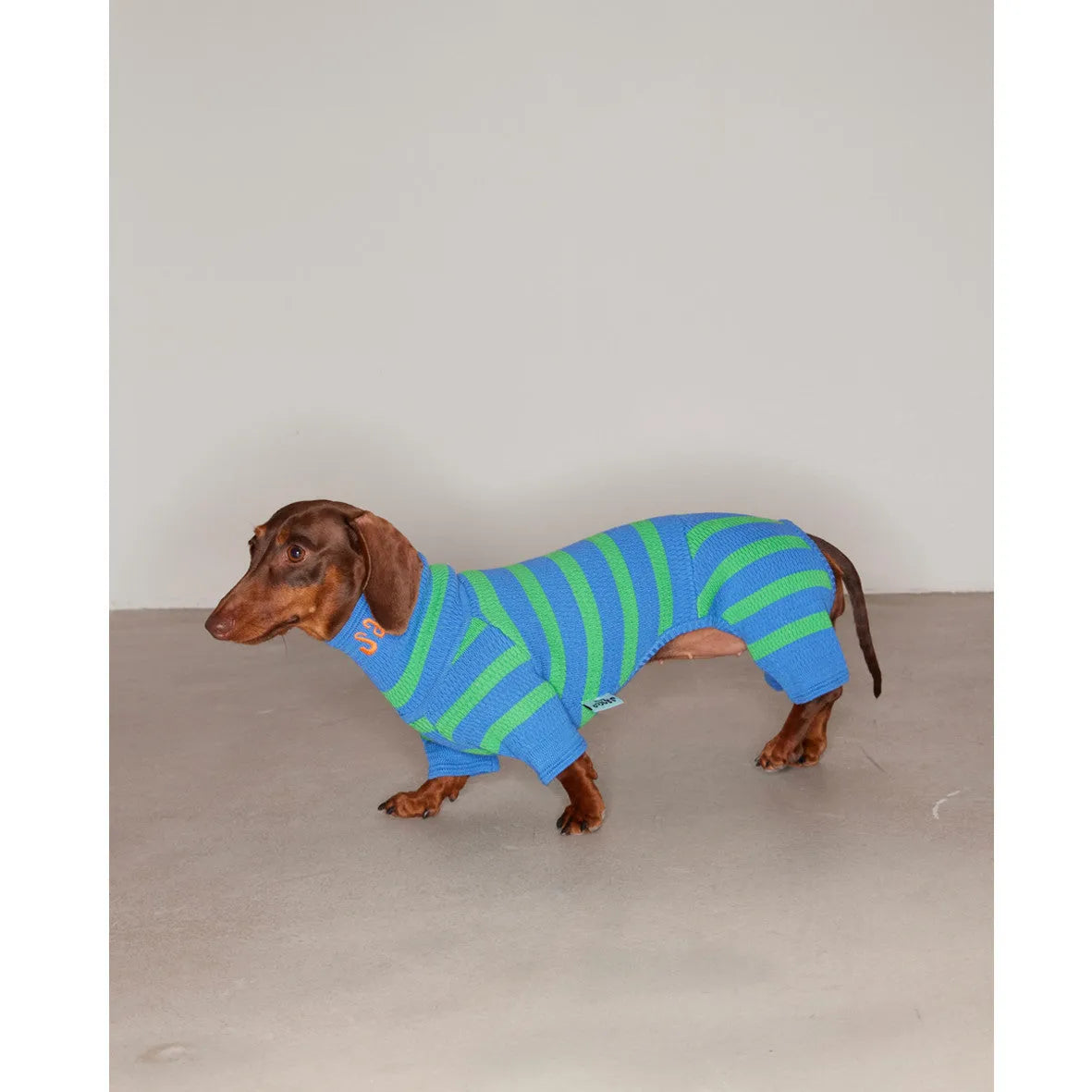 Knitted contrast colour stretch dog clothing in vibrant orange on a light background showing four-legged jumpsuit