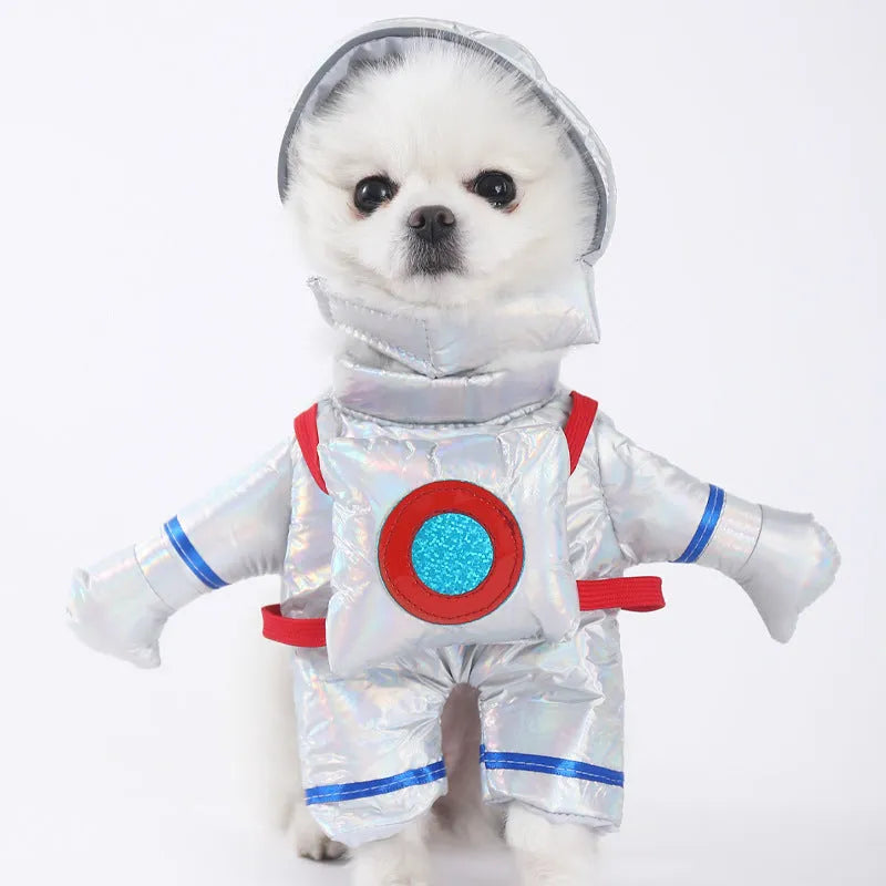 Halloween dog costume selection showing bat, clown, devil, and pumpkin designs for dogs.