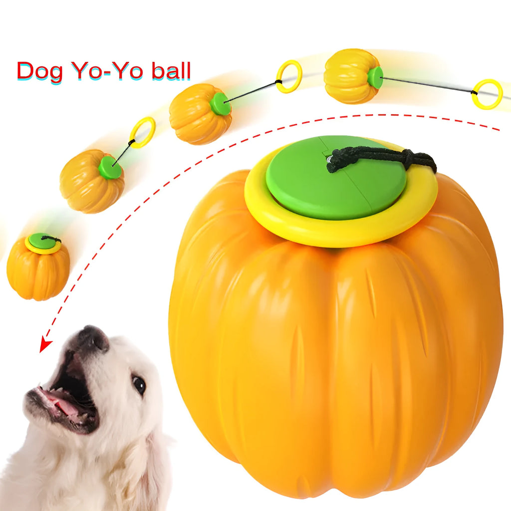 Halloween pumpkin dog chew ball with squeaker in green, orange and yellow colours for small dogs