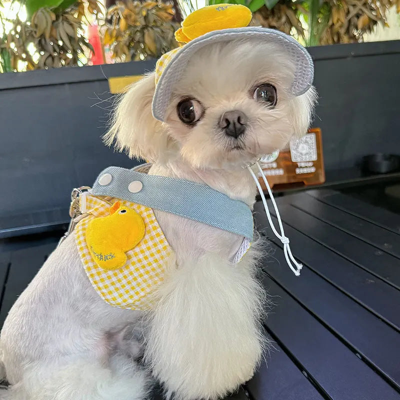Pet harness and leash set with wire rope, cute hat, and three-piece cat clothes for small dogs and cats.