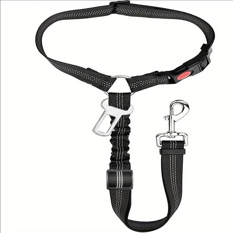 Nylon dog leash with metal buckle in multiple colour options including Army Green, Black, Blue, and Pink