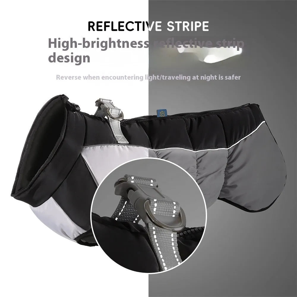 Large dog wearing a waterproof winter coat with reflective strips and polar fleece lining