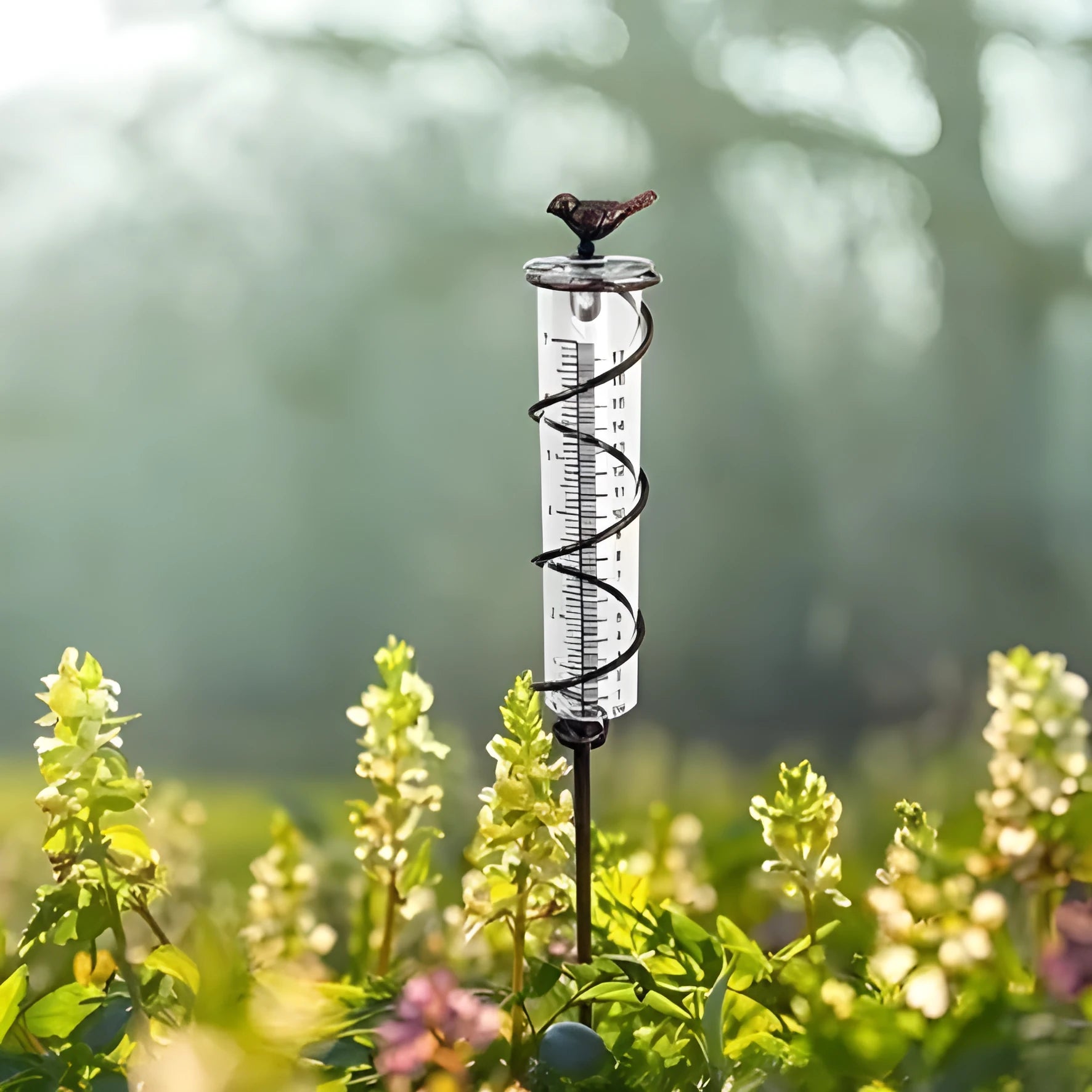 Cast iron bird glass hyetometer rain gauge with hummingbird decoration showing measurement scale