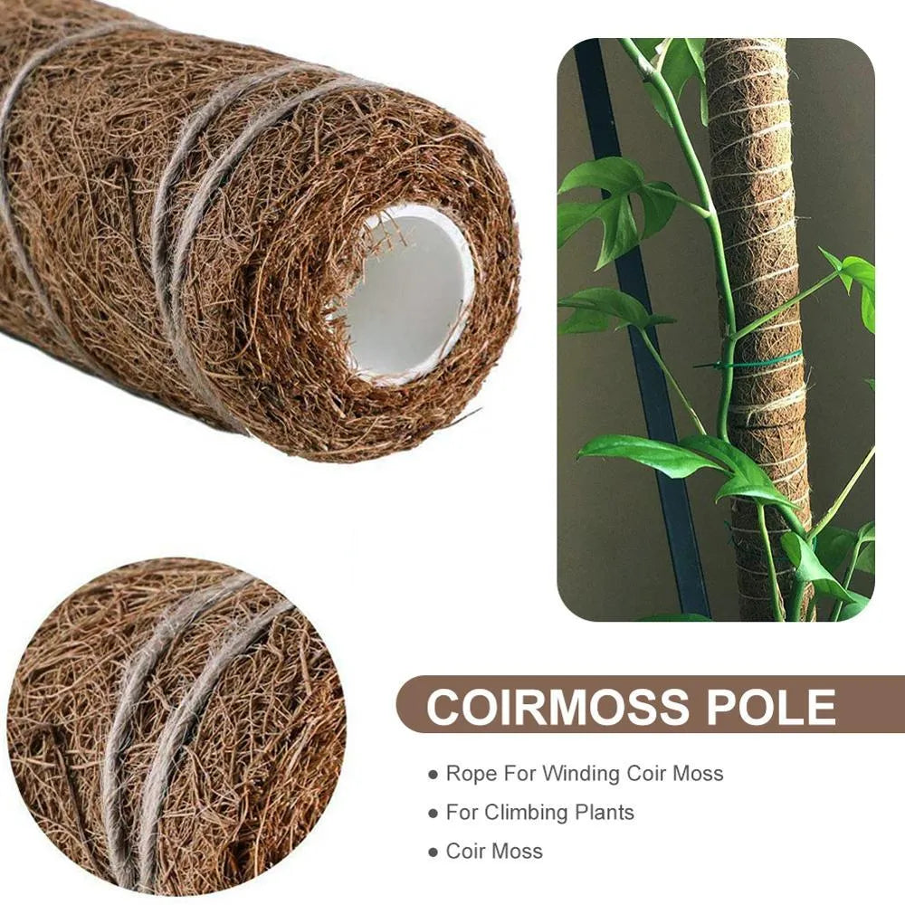 Green radish coconut palm stick with natural coconut moss fibre, wooden pole, and rope wrapping for indoor climbing plant support