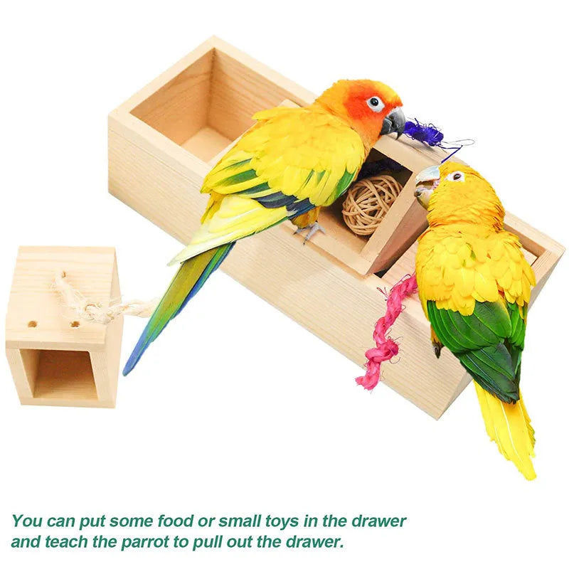 Wooden parrot puzzle training toys for birds in three set configurations