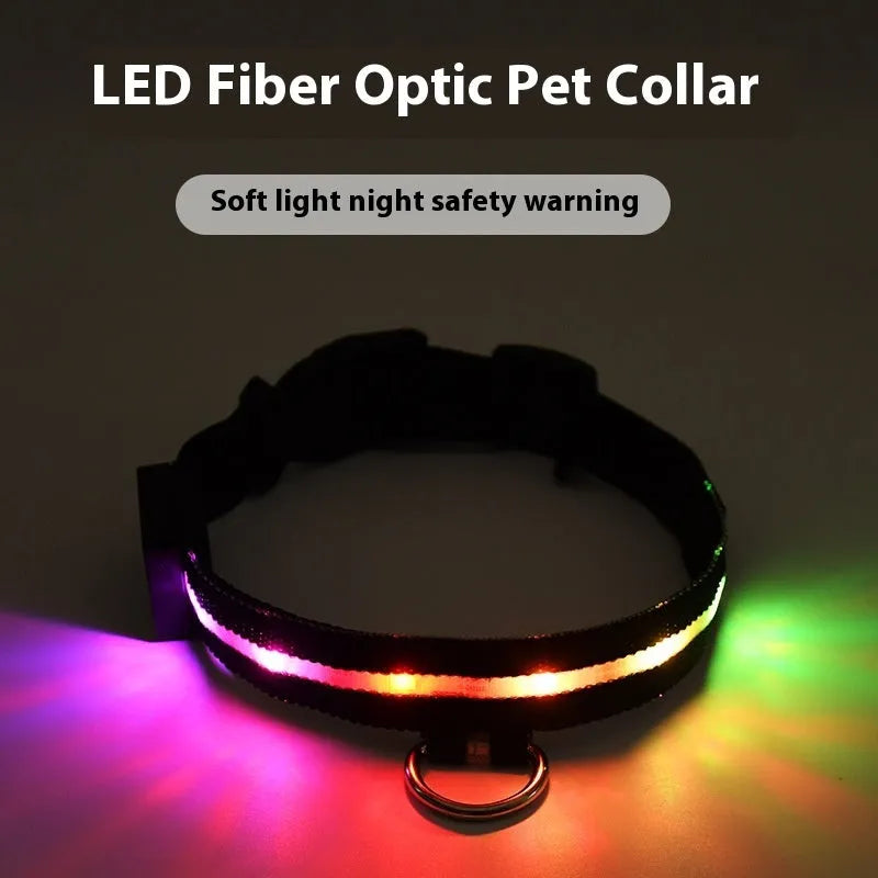 Black LED luminous dog collar with cartoon style on a dog's neck, alongside a separate hand rope.