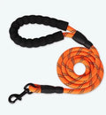 Reflective nylon dog leash in fluorescent green on a black background, showing reflective stripes along the lead.
