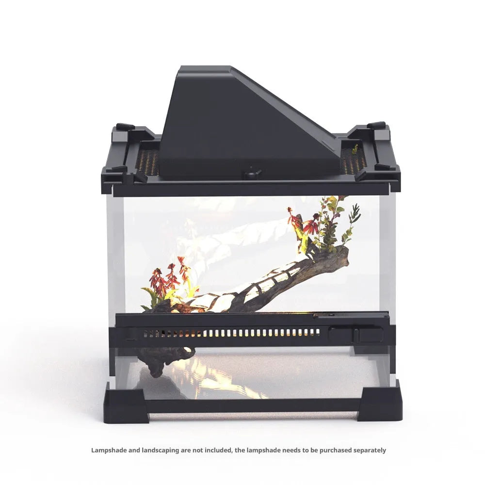 Transparent glass cylinder lizard turtle feeding box on surface with climbing pet visible inside