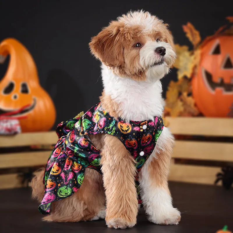 Halloween angel wings dog costume in bright pumpkin or bat colours