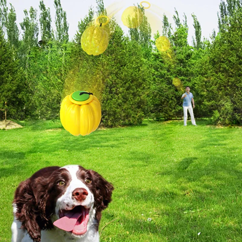 Halloween pumpkin dog chew ball with squeaker in green, orange and yellow colours for small dogs