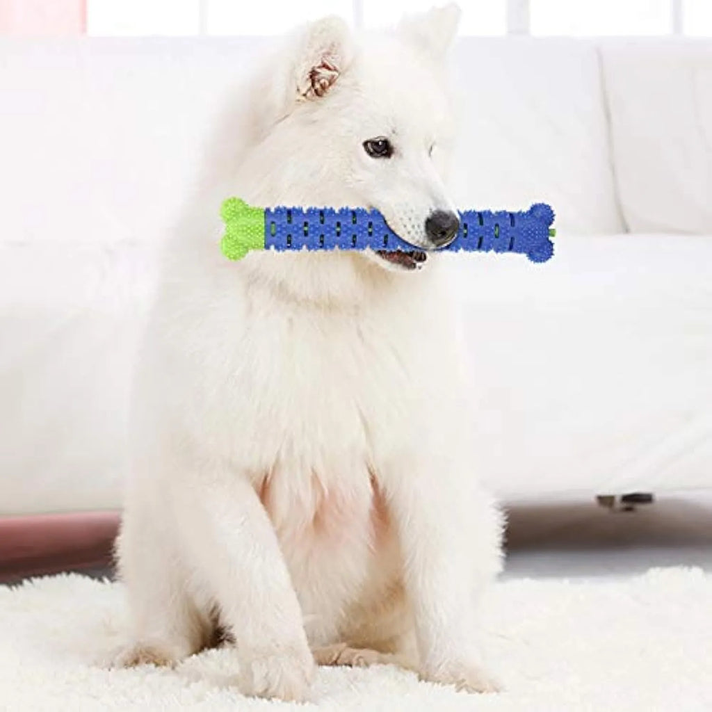 Blue and green silicone dog molar tooth cleaning toy with textured brush head and nodules, 25cm long.