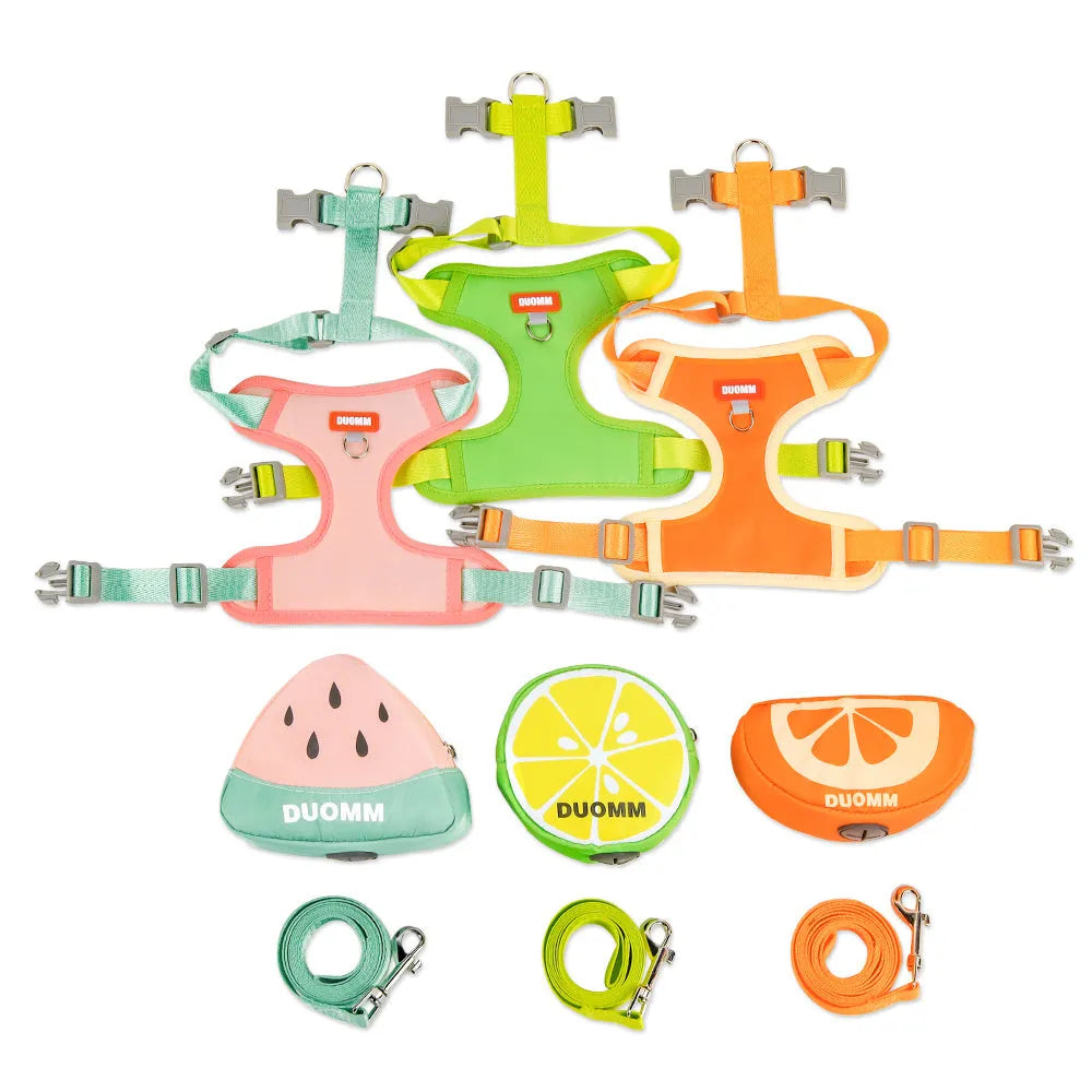Pet backpack chest strap set with anti-slip rope in green, orange or pink colours