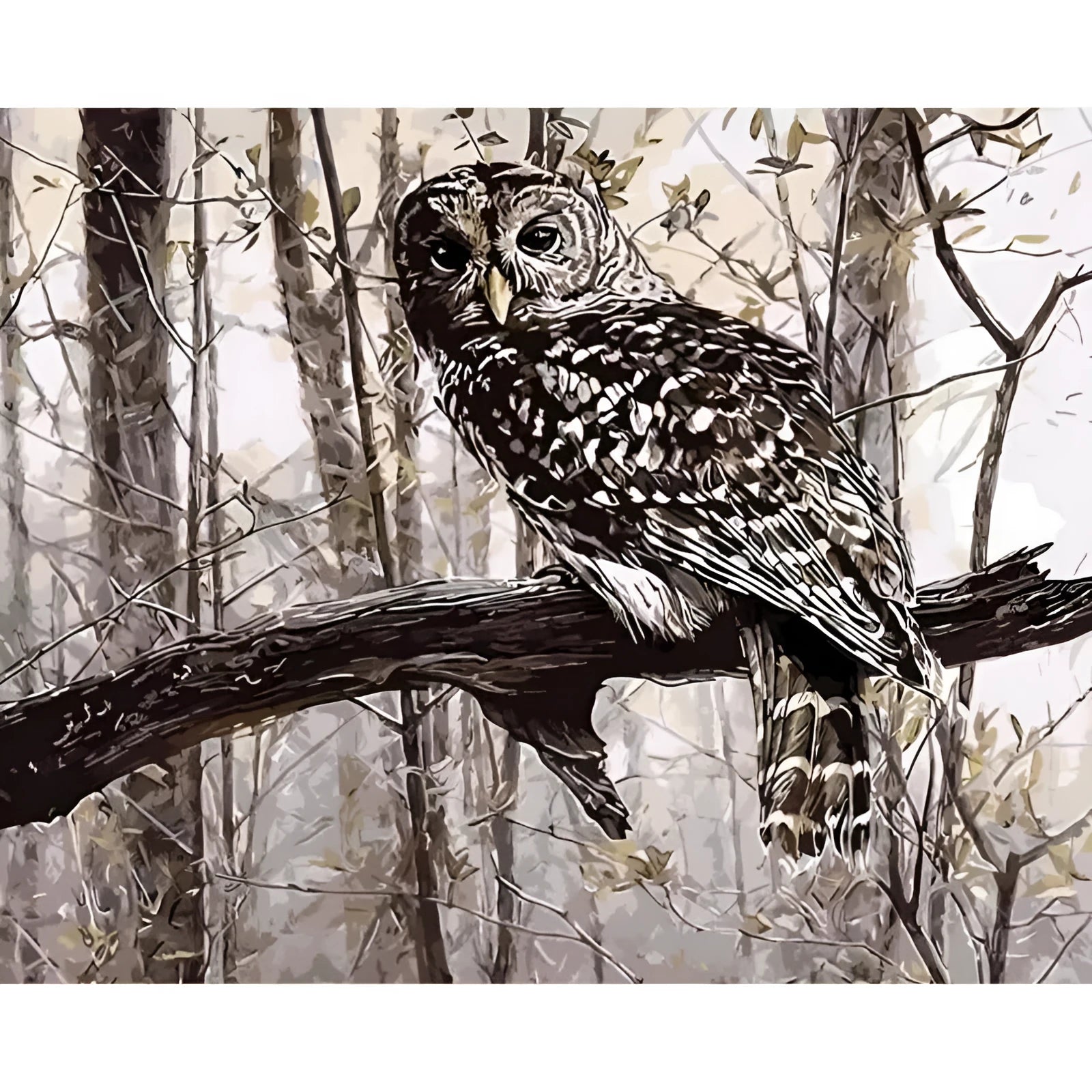 Owl digital painting kit showing 40x50cm numbered canvas, acrylic paint pots, and nylon brushes