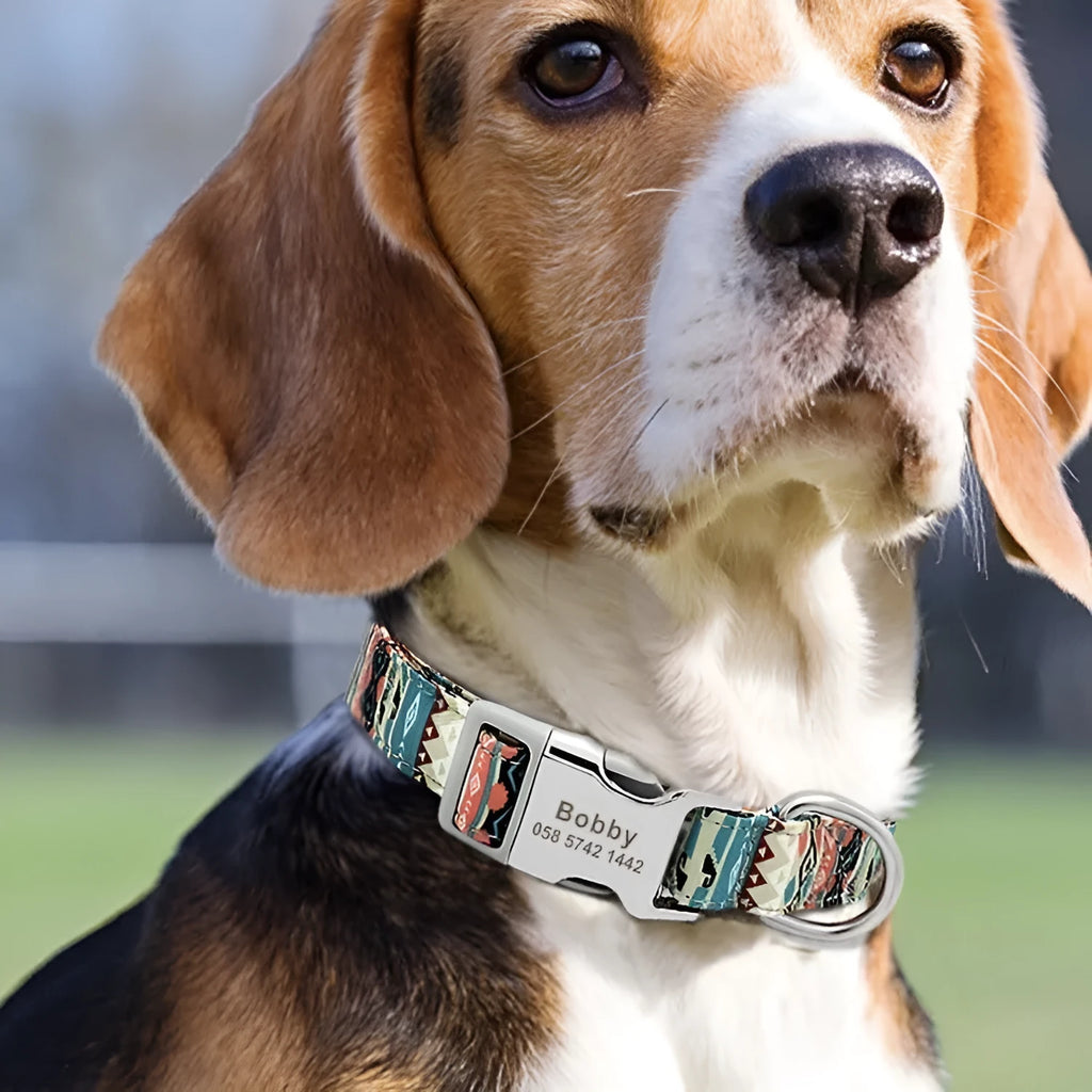 Striped canvas dog collar with semi-metal buckle in bohemian blue colour with adjustable sizing.