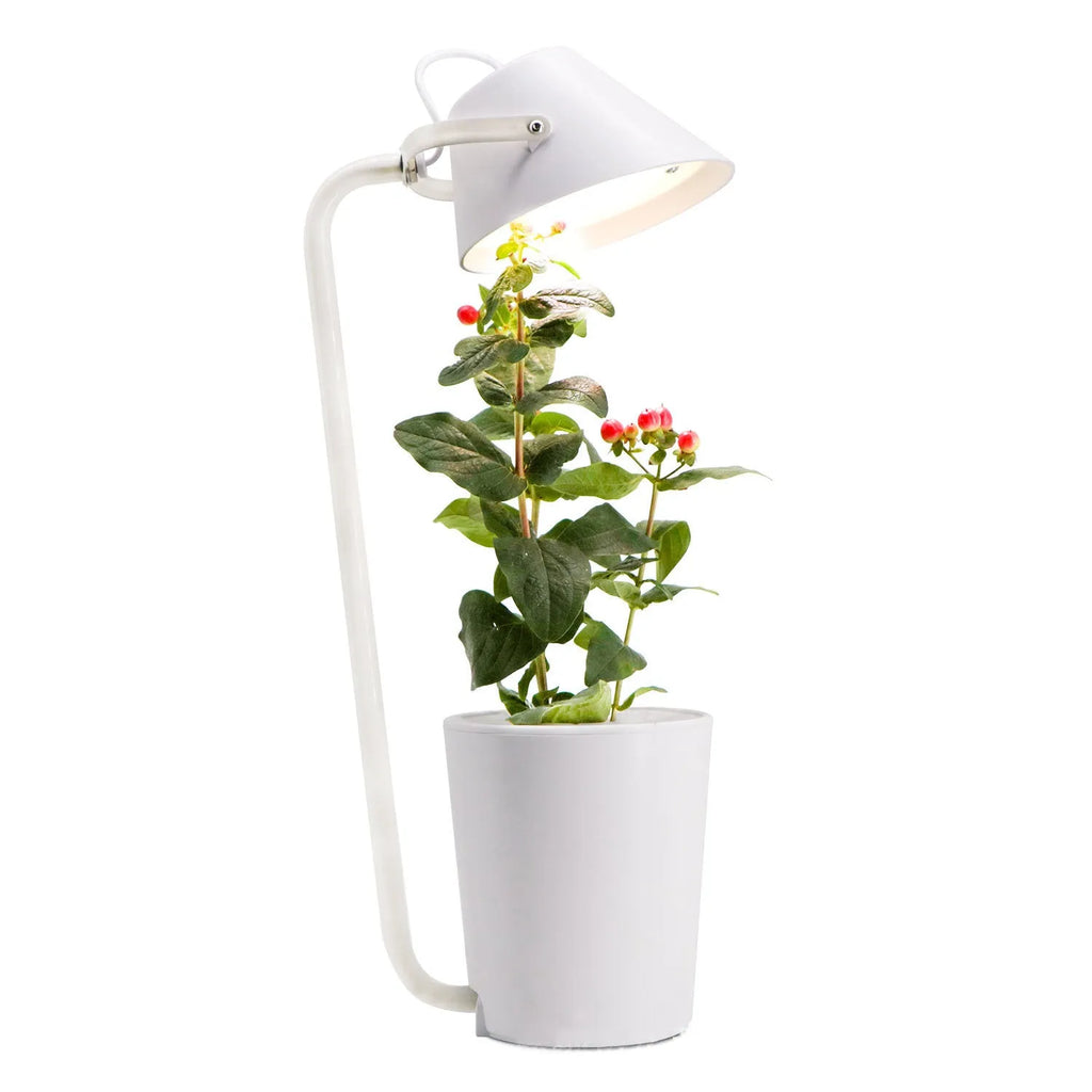 White plastic hydroponic plant growth container for desktop soilless gardening