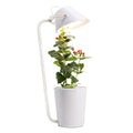 White plastic hydroponic plant growth container for desktop soilless gardening