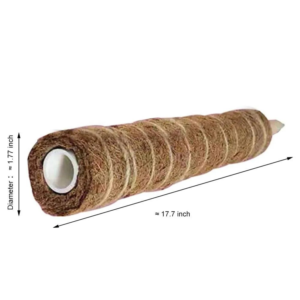 Green radish coconut palm stick with natural coconut moss fibre, wooden pole, and rope wrapping for indoor climbing plant support