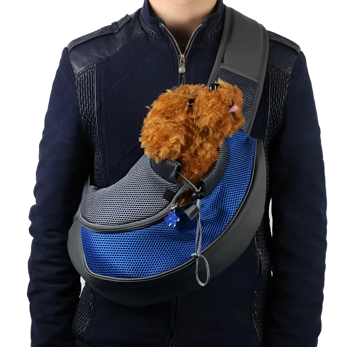 Pet backpack for cats and dogs in size S with transparent bubble window, blue outer fabric, and adjustable shoulder straps.