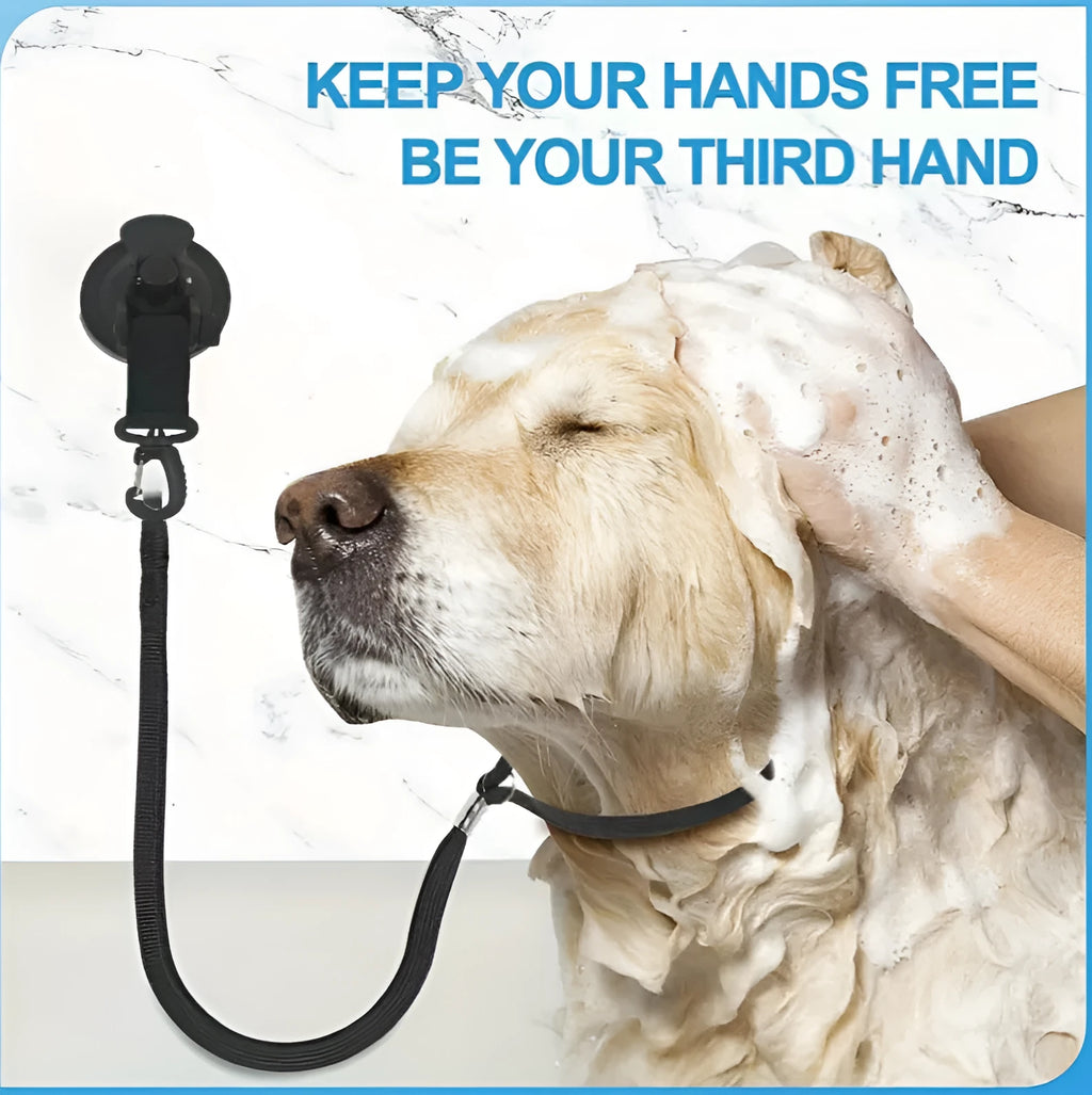 Pet bathing restraint with blue suction cups and traction rope for secure attachment during washing