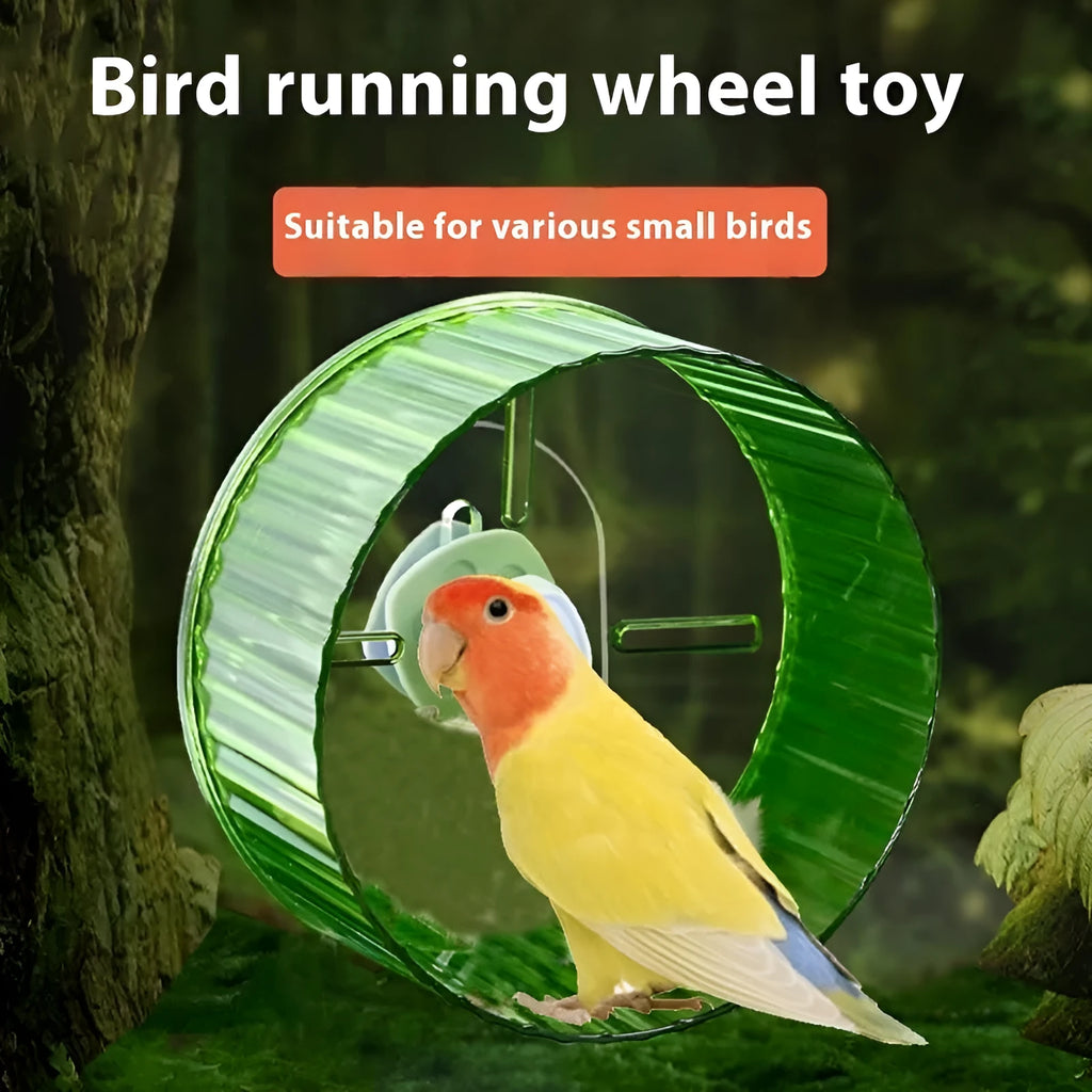 A transparent plastic parrot running wheel toy, showing the Xuanfeng peony bird treadmill design.