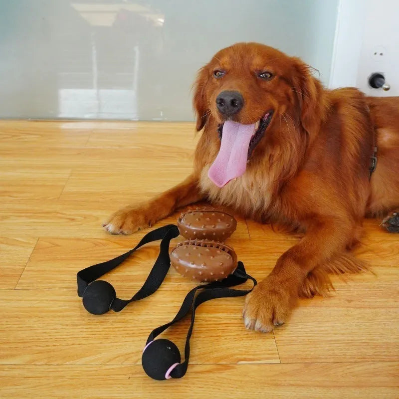 Coffee bean shaped dog chew toy with TPR material, dental balls, and rope knots