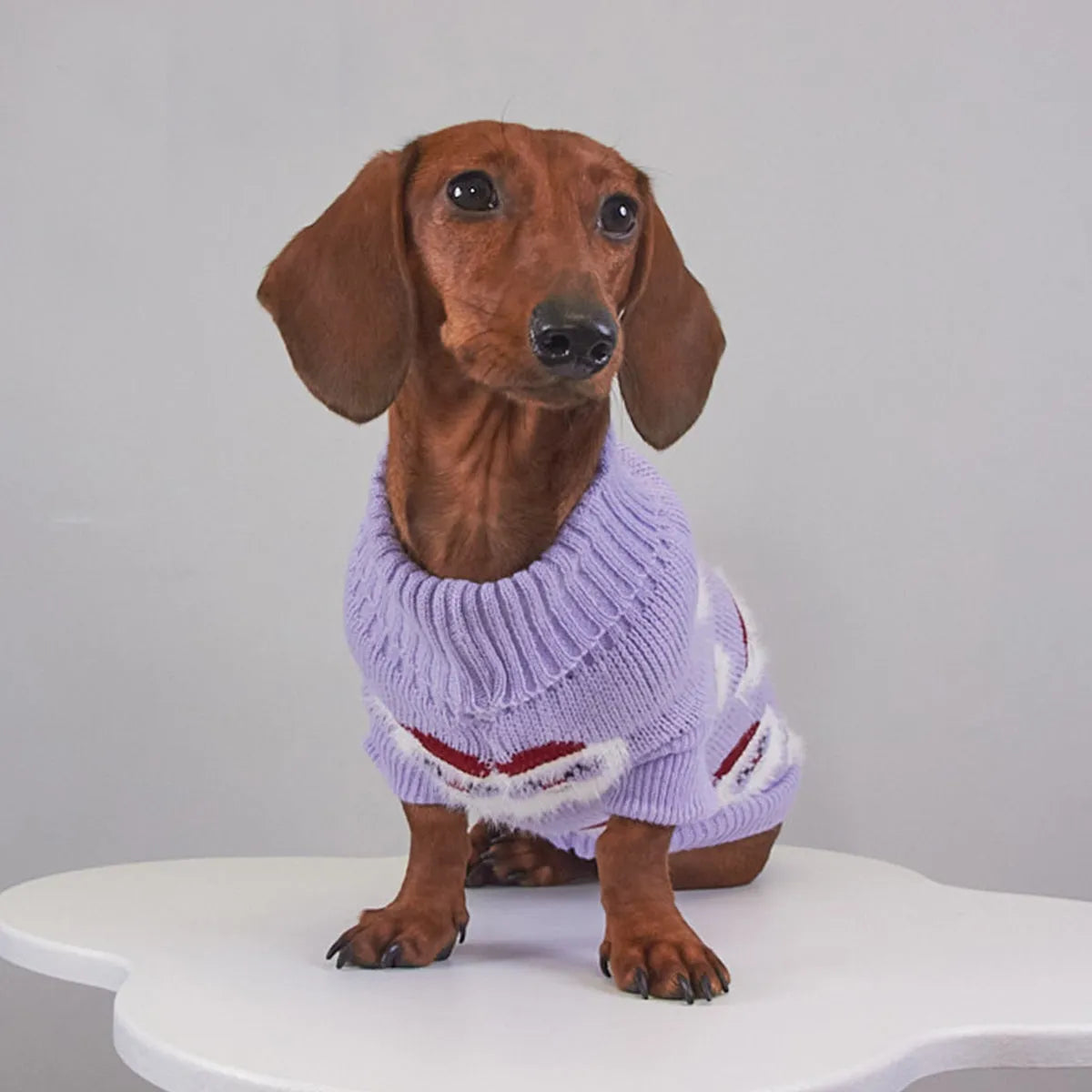 Four coloured pet Christmas sweaters with mink lining in purple, red, green, and khaki sizes 6/XS to 16/XXL