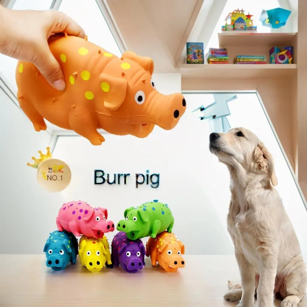 Pig-shaped latex dog chew toy with textured surface and squeaker in various colours