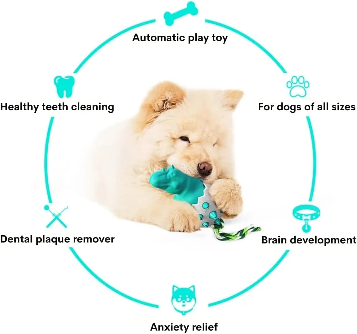 Blue durable rubber dinosaur dog chew toy with integrated rope for aggressive chewers.