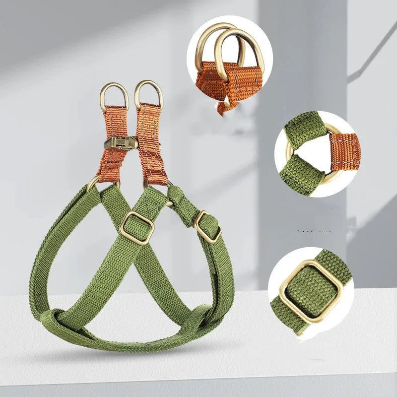 Brown vest-style dog leash with cotton belt and nylon construction on small dog