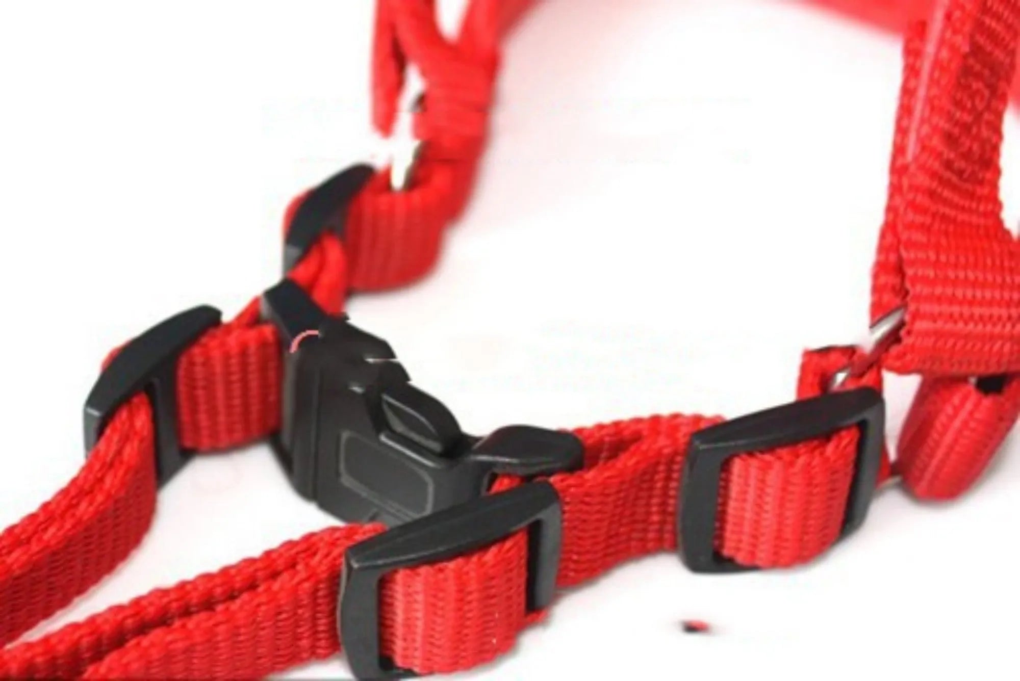 Blue nylon pet harness with soft foam lining and adjustable chest strap for dog walking