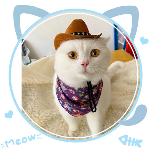 British-style brown cowboy hat for cats with star velvet belt trim
