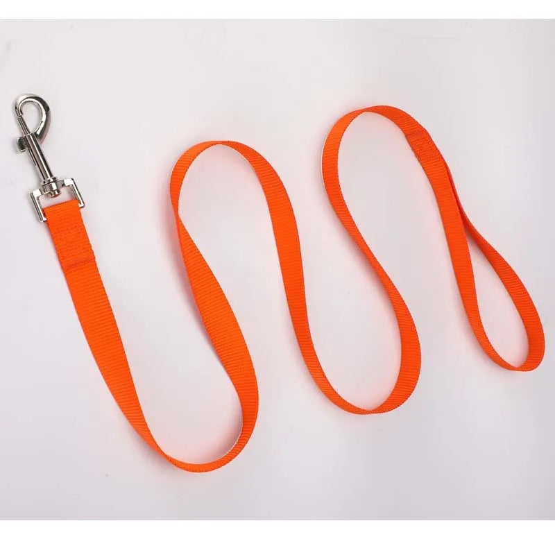 Solid colour polyester dog lead showing loop handle and single rope in one of twelve available colours.