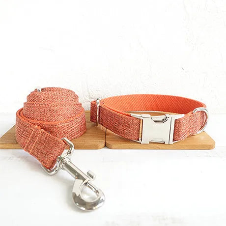 Double-layer thick polyester pet leash with adjustable dog collar and metal buckle