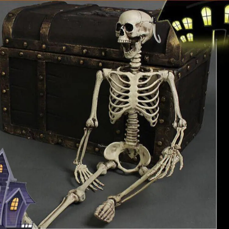 170cm plastic skeleton prop with realistic skull, full body, off-white bone finish, standing upright