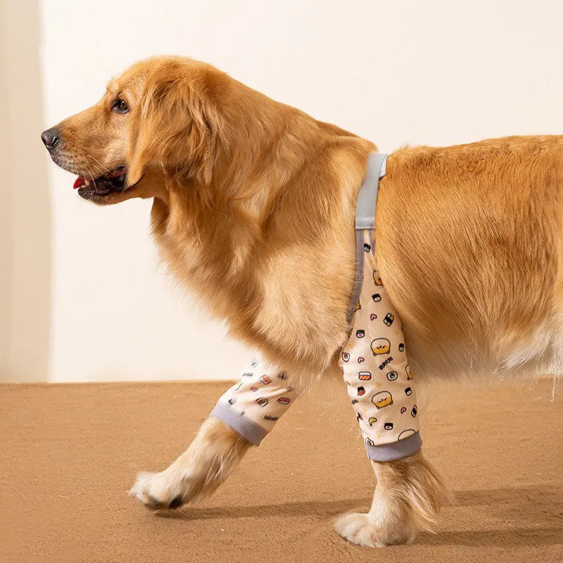 Adjustable dog elbow protection brace with scarf accessory in blue colour for medium large breed