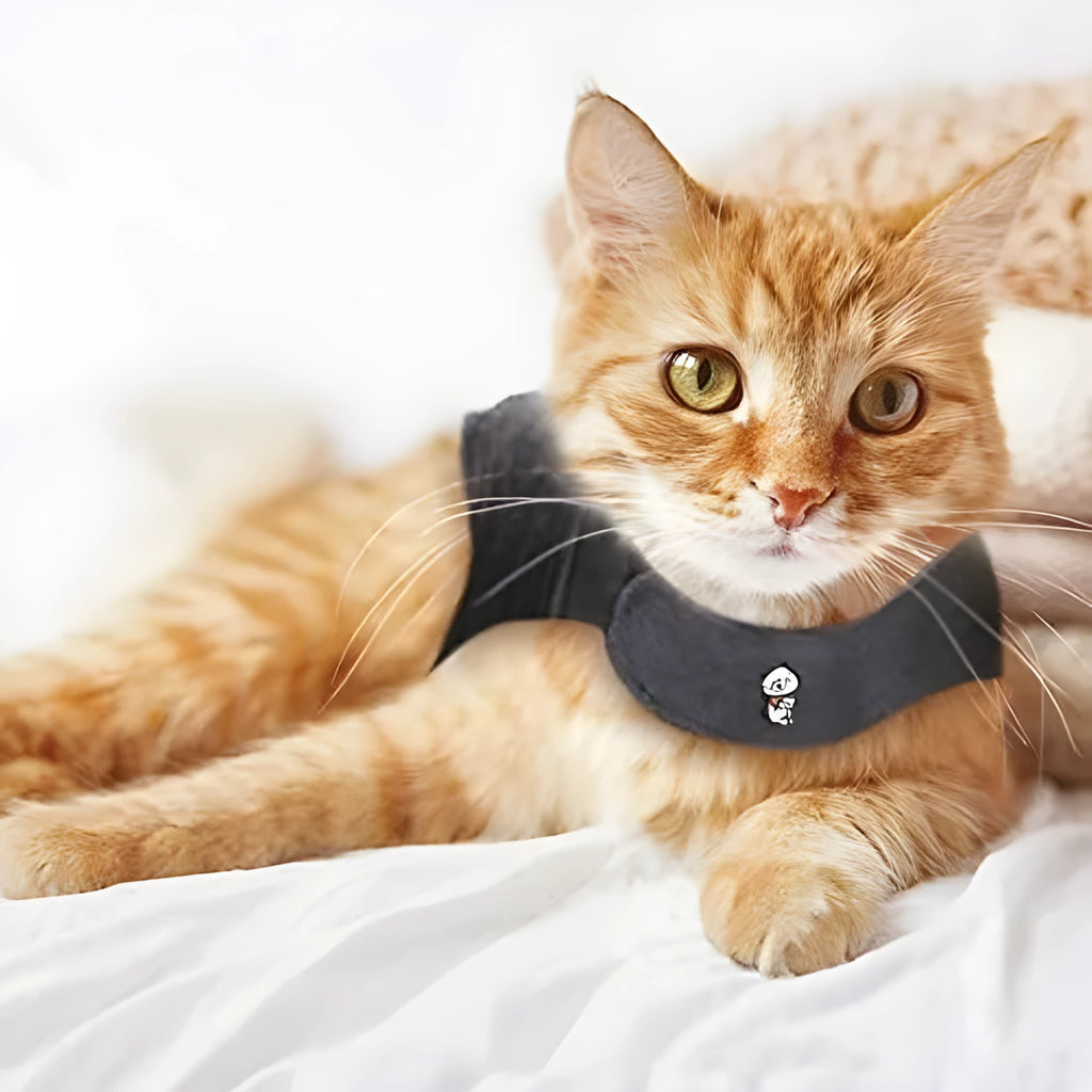 Dark gray polyester summer vest for dogs and cats, available in sizes S, M, and L
