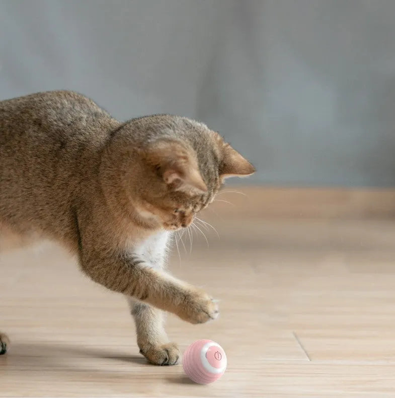 Blue automatic moving bouncing rolling ball smart cat toy for indoor cats with rechargeable design