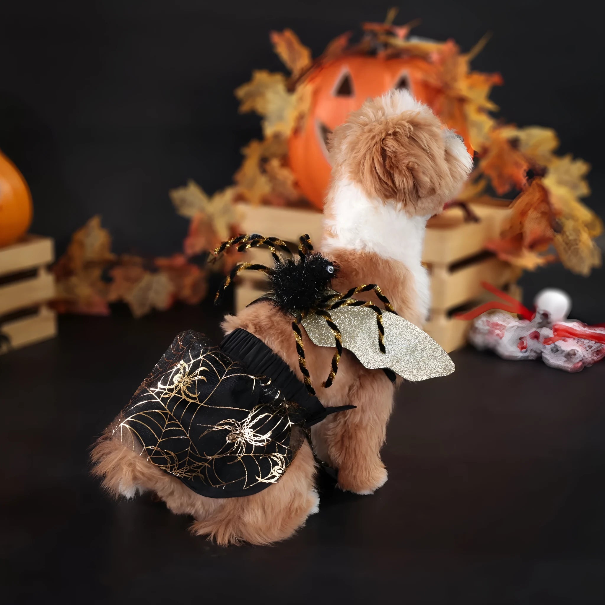 Suit-colour Halloween dog costume shown in S, M, L, and XL sizes for small to large breed pets