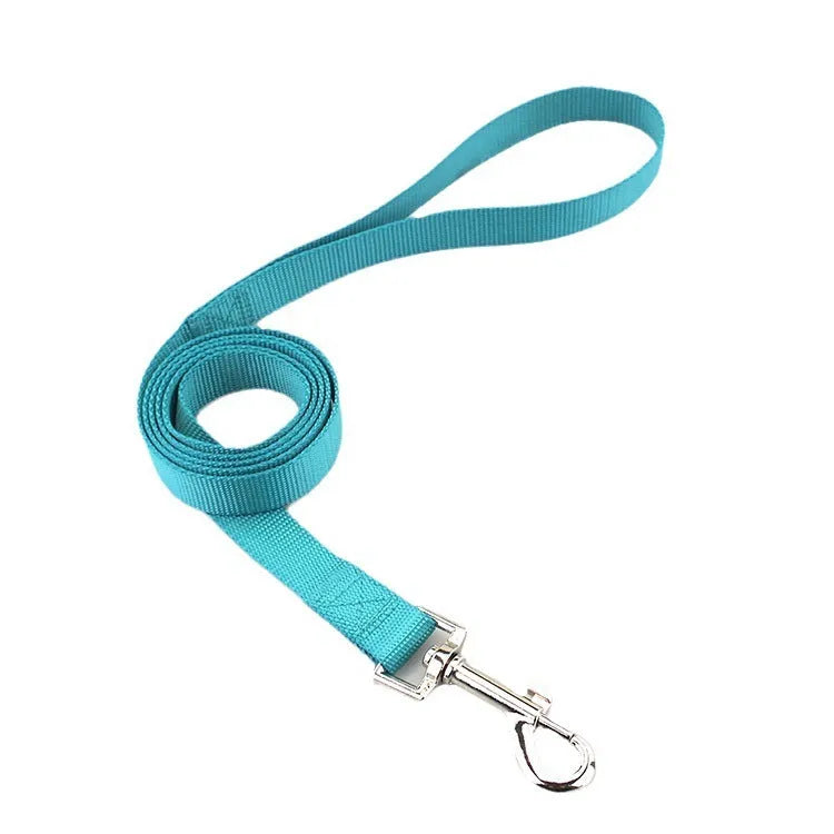 Solid colour polyester dog lead showing loop handle and single rope in one of twelve available colours.