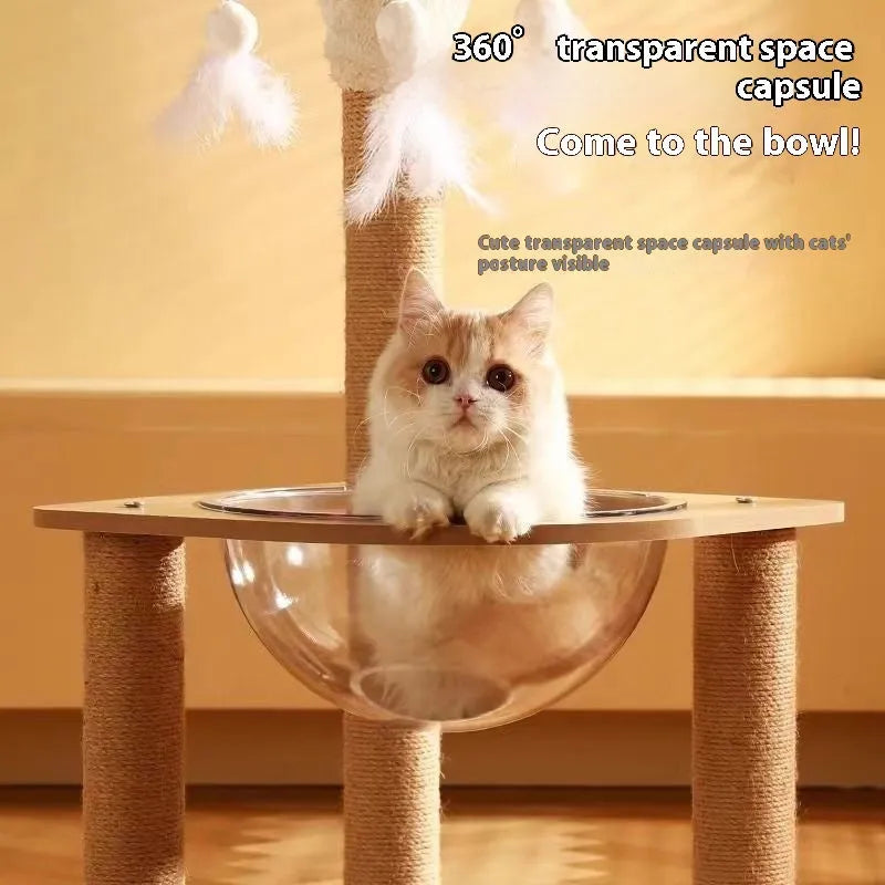 Wooden cat climbing frame with integrated space capsule in luxury colour