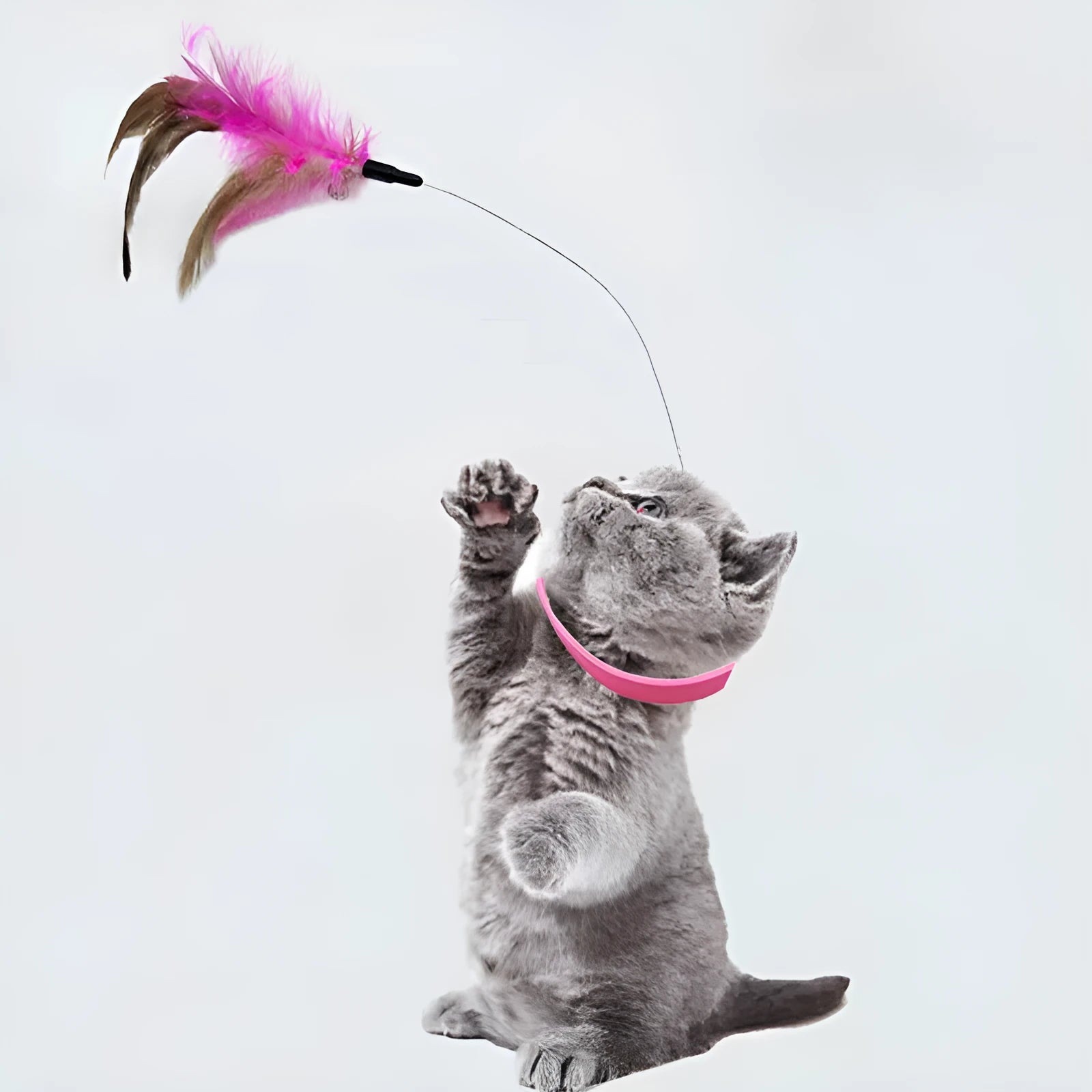 Adjustable cat collar toy with silicone teasing wand and feather attachment, showing blue and pink colour options